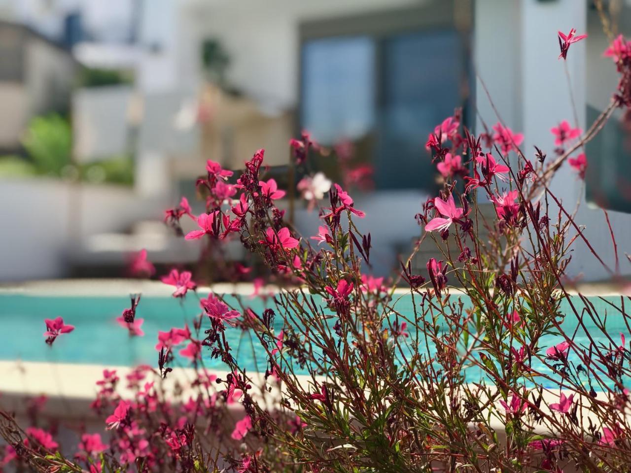 Creta Blue Luxury Collection (Adults Only) Hotel Herszonisszosz Kültér fotó